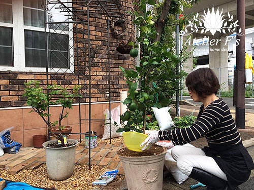 アトリエの庭づくり 土づくり 一般社団法人flower Works Japan