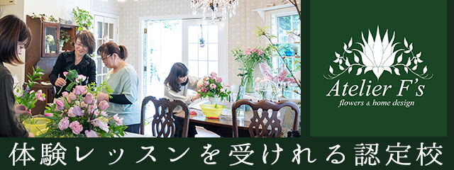 ペペロミアの種類と育て方 夏と冬のお手入れ法 一般社団法人flower Works Japan ペペロミアの種類と育て方 夏と冬のお手入れ法 一般社団法人flower Works Japan