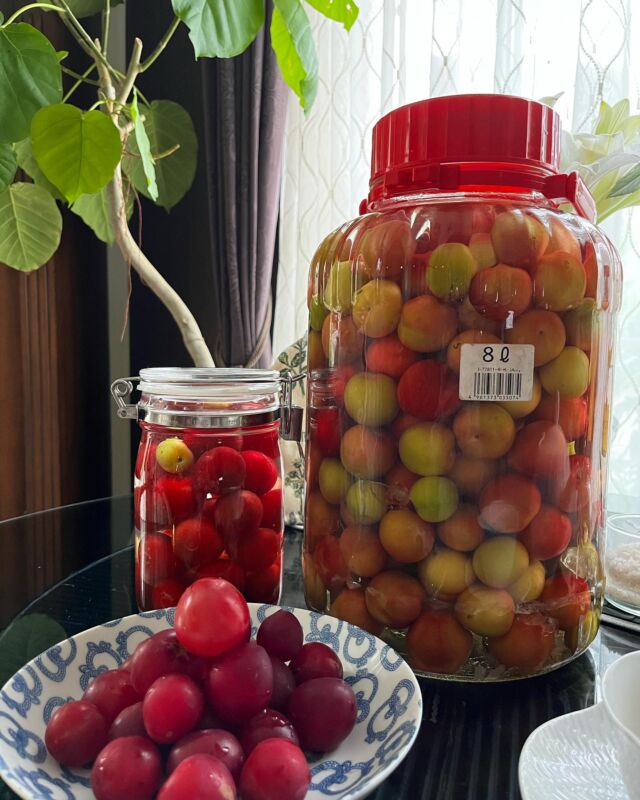 小さな庭から収穫した5キロのプラムを、プラム酒に漬けました♪　
8リッター瓶に入り切らず、色づいたものだけ分けて小瓶に。
熟したものは、そのまま食べます。
漬け込んですぐに撮影した時は、プラムが赤いですが、2日経つと色が抜けているのがわかります。
こんな経過を観察するのも、ちょっとした日常に楽しさを添えてくれるのもですね😘  #花のある暮らし 
#庭のある暮らし 
#アトリエフィーズ
#谷川文江
#フラワーワークスジャパン 
#プラム 
#豊かな暮らし